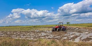 Rice Farm Machinery 2