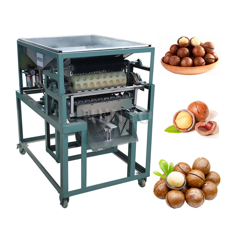 Macadamia Machinery 5