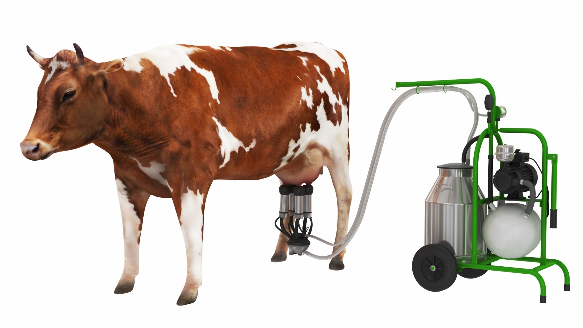 Dairy Machinery
