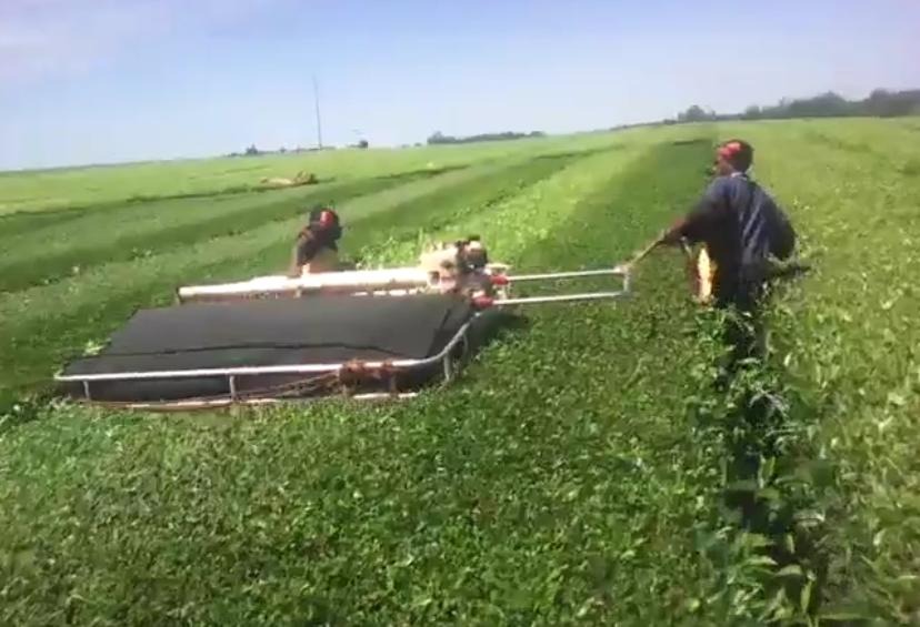 African Tea Harvesting Tractor