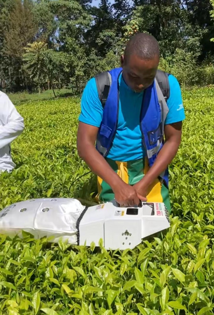 African Tea Plantation Machinery